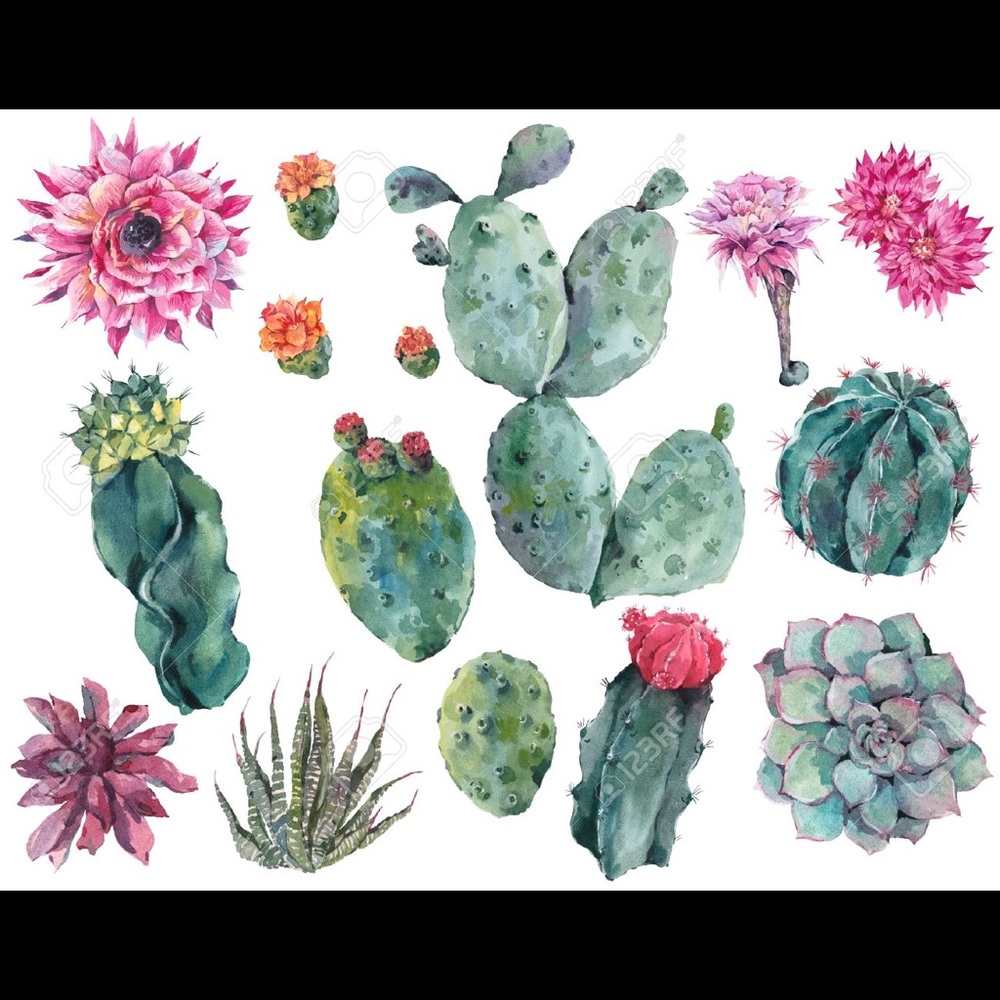 Welcome 🌵✨ - Picture 2 of 3